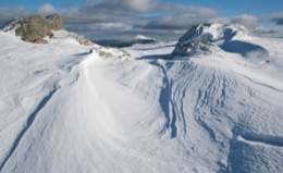 Ben Donich snow sculpture